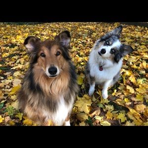 Meet your Posher, Tina